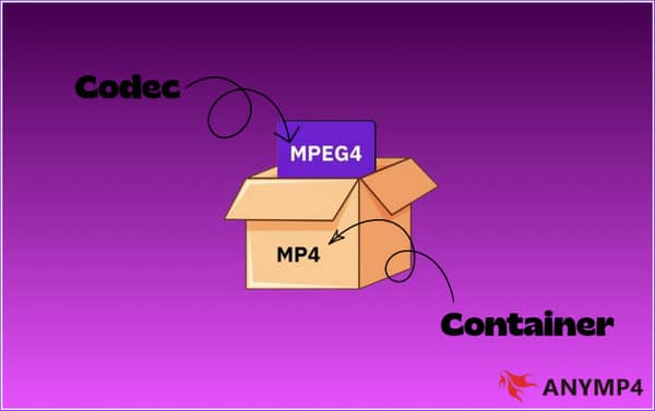 Difference Between Mpeg 4 And Mp4
