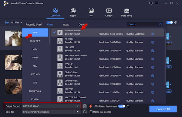 Установите формат MP4 в качестве целевого формата в AnyMP4 Video Converter Ultimate.