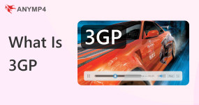 What Is 3GP File