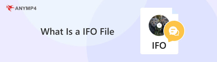 什麼是 IFO 文件