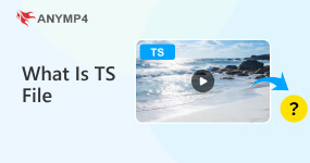 What Is A Ts File