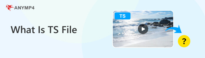What Is a TS File