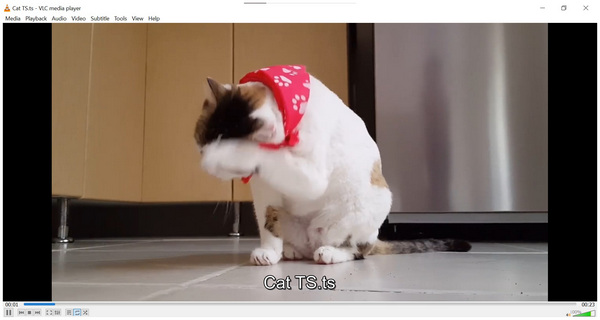VLC Media Player TS Video Playback
