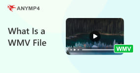 What Is A Wmv File