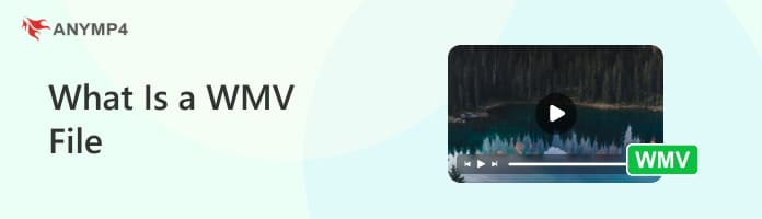 What Is a WMV File