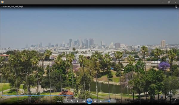 Open WMV in Windows Media Player