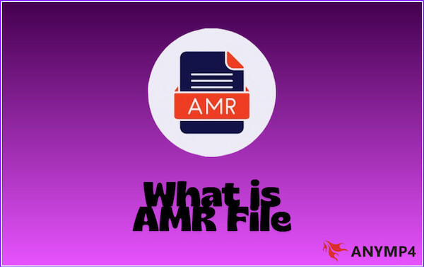 AMR File Definition