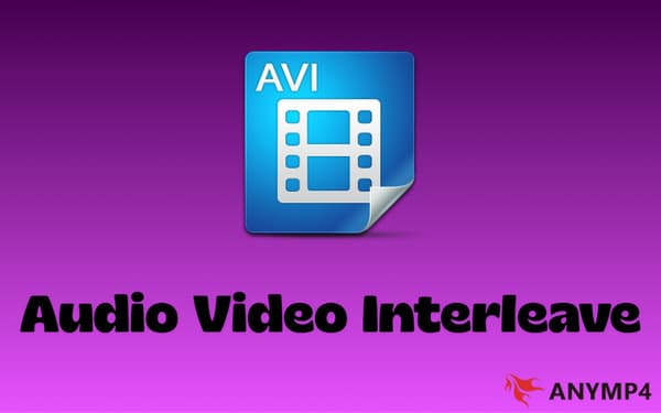 Defining Audio Video Interleave Format