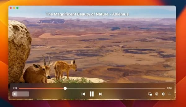 Elmedia Player as AVI Player
