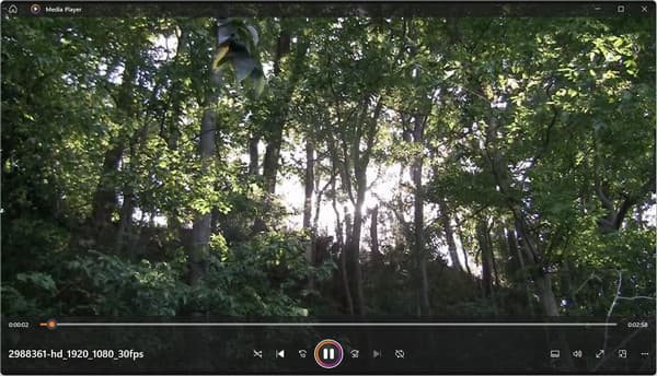 Media Player as AVI Player