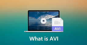 ¿Qué es el AVI?