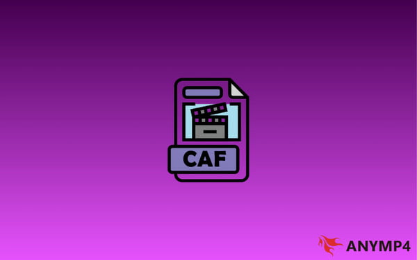 Defining Caf Format
