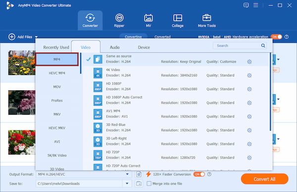 Choose An Output Format In Anymp4