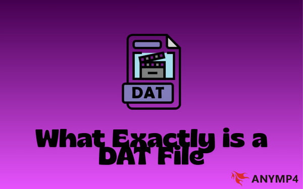 Understanding Dat File