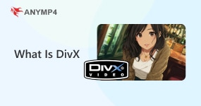 What Is DivX
