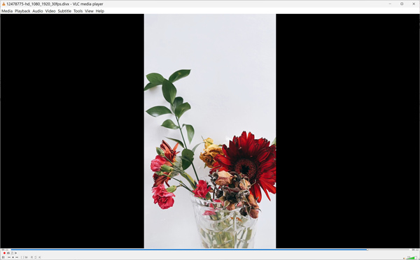 VLC Play DivX Videos