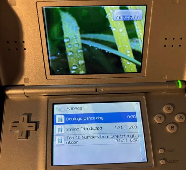 Boot Up And Play Dpg On Ds