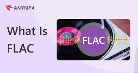 Cos'è il FLAC
