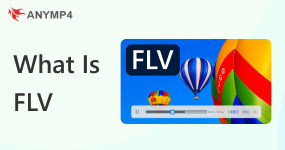 Mikä on FLV