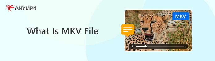 What Is MKV File