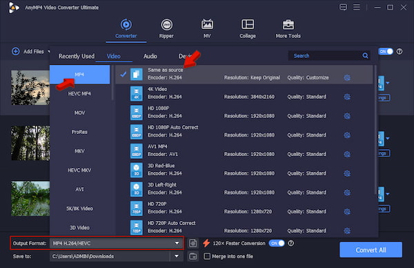 Set MP4 As Target Format In AnyMP4 Video Converter Ultimate