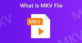 Hvad er MKV File