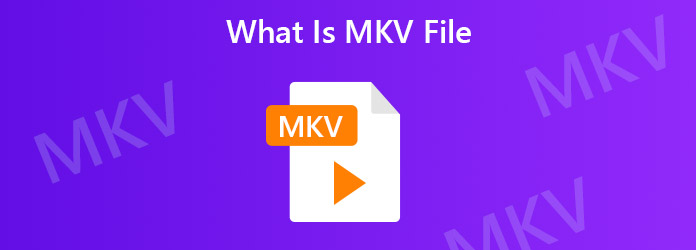 Cos'è il file MKV