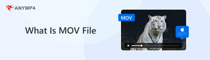 What Is Mov File