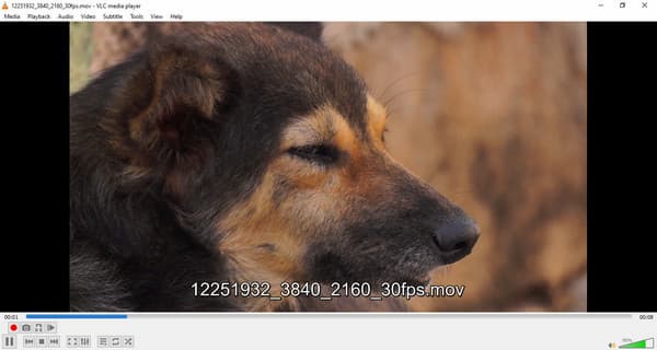 Play QuickTime Video In VLC Media Player