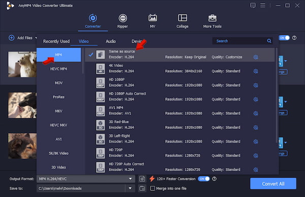 Set MP4 As Target Format In AnyMP4 Video Converter Ultimate