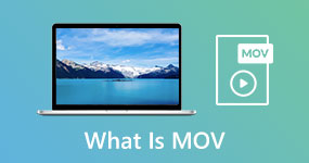 Что такое MOV File