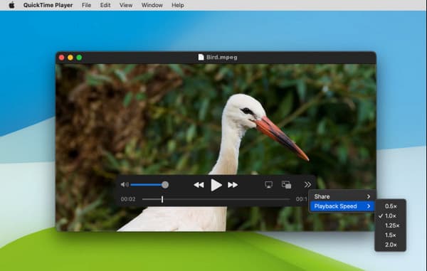 Play Mpeg On Mac