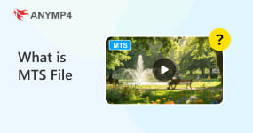 What Is Mts File