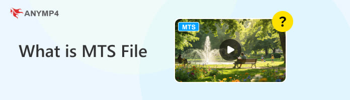 What Is MTS File