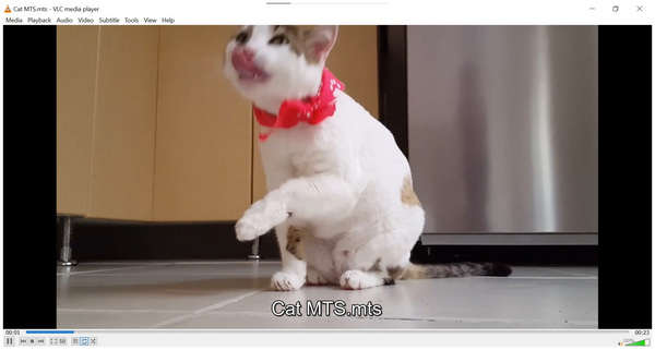 VLC Media Player Playing MTS