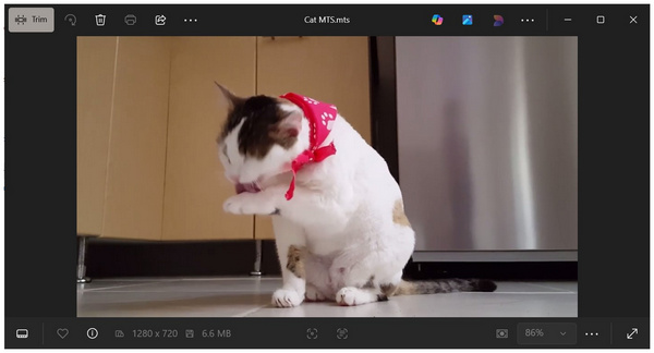 Windows Photos App Playing MTS