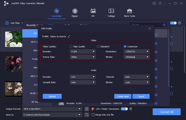 Optimize Mp4 Settings In Anymp4 Video Converter Ultimate