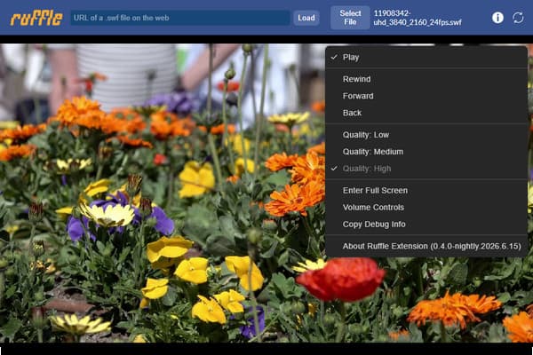 Play Swf In Ruffle Flash Emulator In Chrome