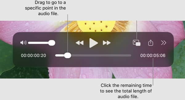 Open Wav In Mac QuickTime Player