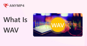 ¿Qué es WAV?