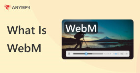 Cos'è WebM