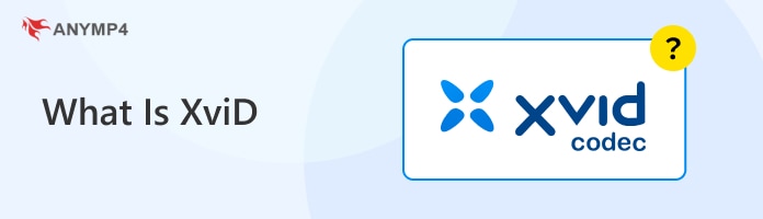 What Is XviD
