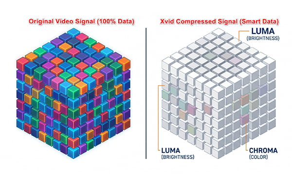 Lossy Compression Vs Visual Fidelity