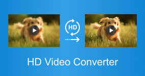 Convertidor de video HD