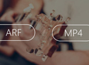 Konvertera WebEx ARF-inspelning till MP4