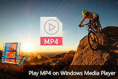 putlocker to mp4 converter online