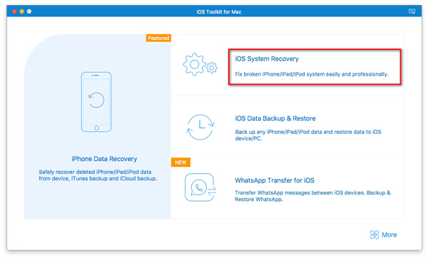 Select iOS System Recovery