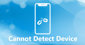 Cannot Detect Device