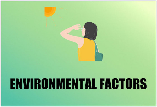 Environmentální faktory