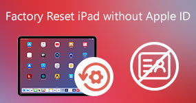 Factory Reset iPad without Apple ID